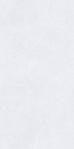 GMT157358