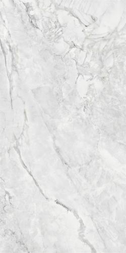 GMF158808-2
