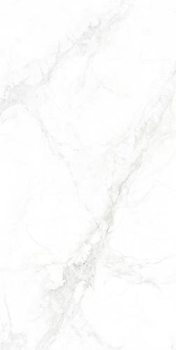 GMA156006-寒江雪